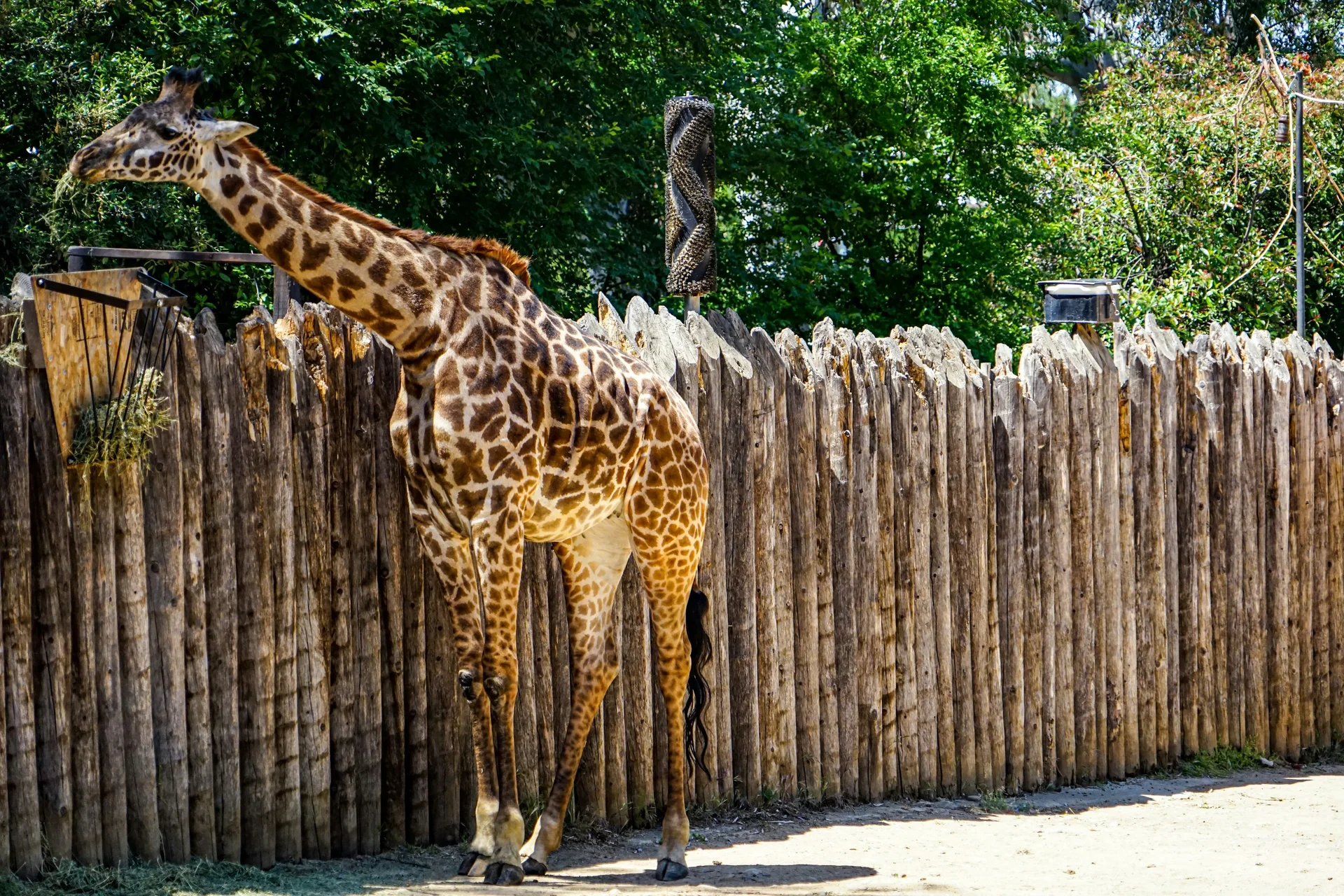 Sacramento Zoo family-friendly attraction with exotic animals